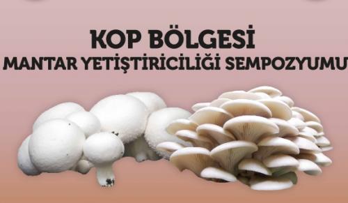 KOP Blgesi Mantar Yetitiricilii Sempozyumu Dzenlenecek 